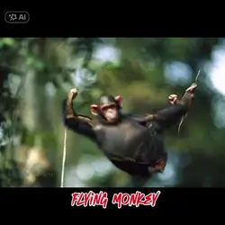 Flying Monkey