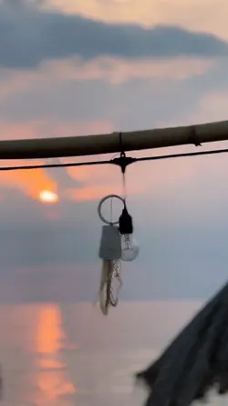 Vid transisi 