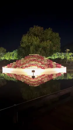 夜の彩り日本庭園🙋🏻‍♀️