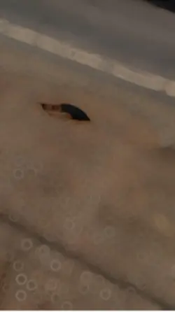 Atenção