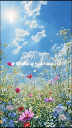 WhereDoBrokenHearts