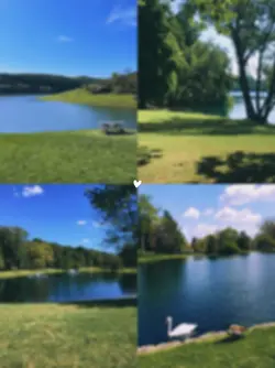 4picsnature