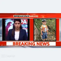 Sardi funny meme