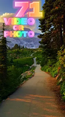 71 clip or photo 