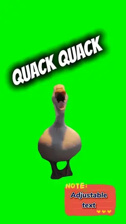 Duck quacking
