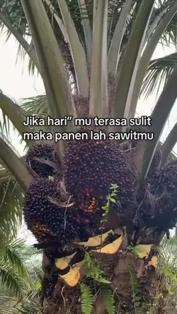 kalo ga mau biar aku
