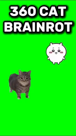 360 cat brainrot  