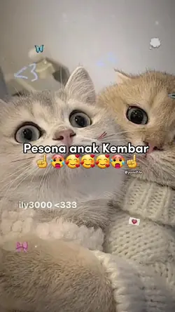 pesona anak kembar