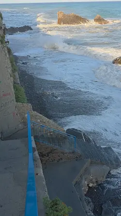 1 video 