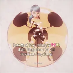 ⭐️