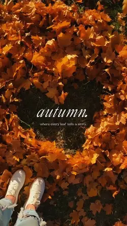 autumn.