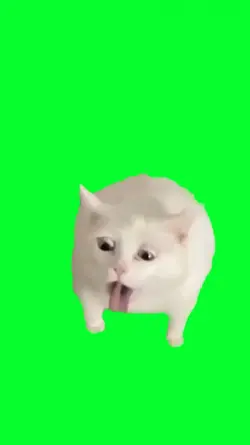 cat want to vomit