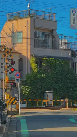 vlog aesthetic 5clip