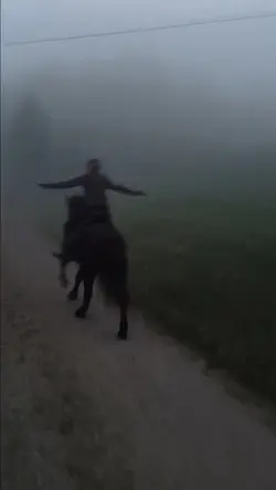 The fog 😍