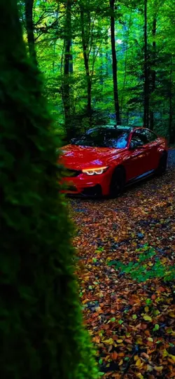 Bmw VIP	