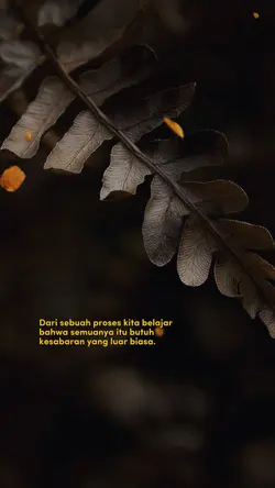 Kesabaran Luar Biasa