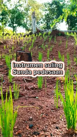 suling Sunda instrum