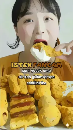 istek fancamm