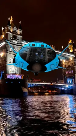 Cat go London 