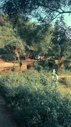 video random