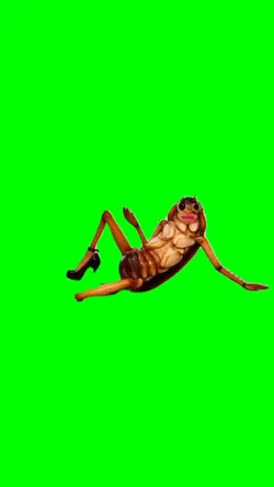 dancing cockroach