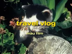 travel vlog ngang