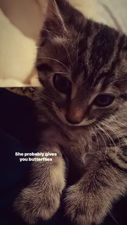 happier-Olivia