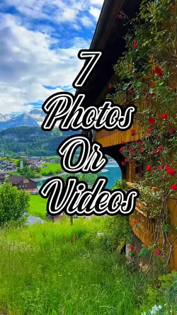Mini Vlog