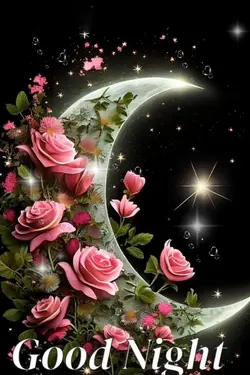 Selamat MALAM 