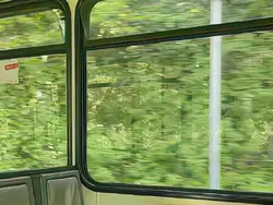 Green ! ' time ! ‽