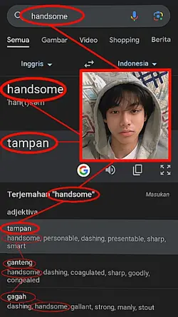 HANDSOME GOOGLE