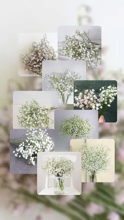9 photo 9 product 