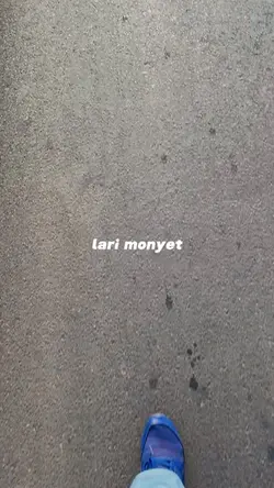 LARI MONYETT