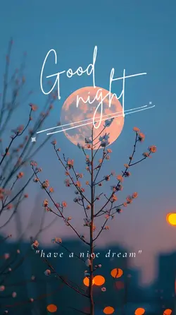 good night