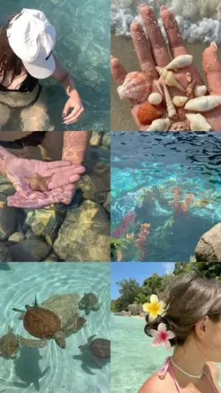 aesthetic 