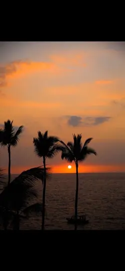 PALM BEACH DUMP