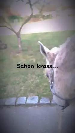 schon krass...