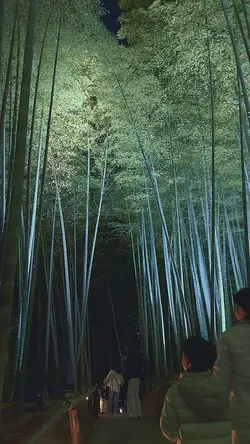 エモい夜の京都テンプレート✨