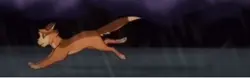 Warrior cats😭😭