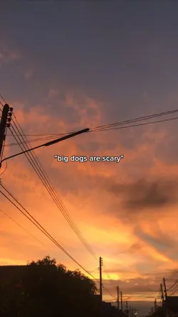 big dogs are scary
