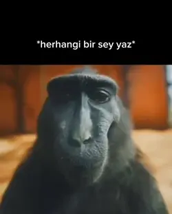 maymun rizz