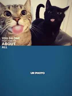 you the one