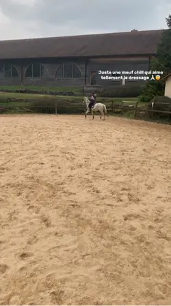 Le dressage 💕💕