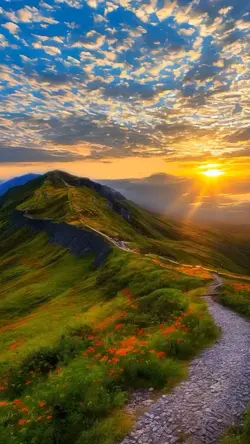 Sunset
