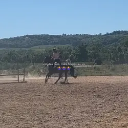 Fidèle au sol!
