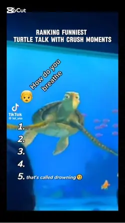 Turtle crush 
