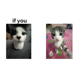 if you u i e