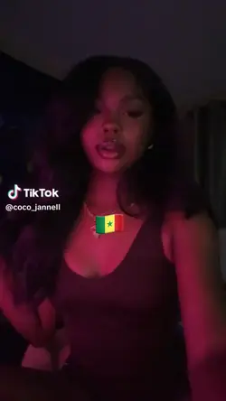 🇸🇳