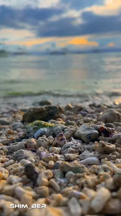 Seaside Transition 