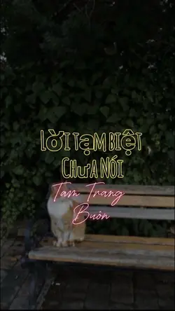 Lời TạmBiệt Chưa Nói
